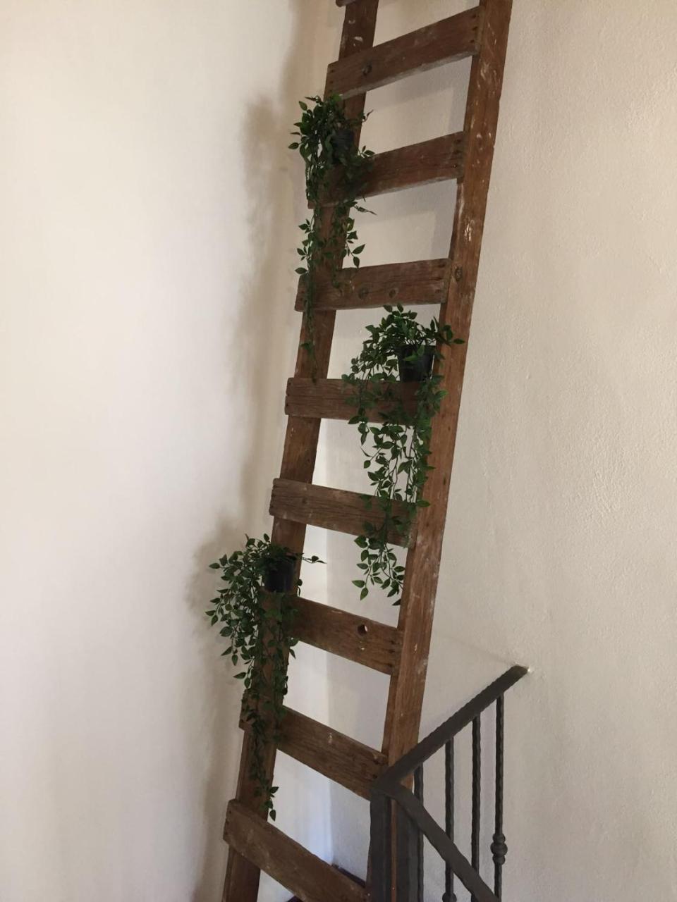 B&B La Corte San Francesco 巴里 外观 照片